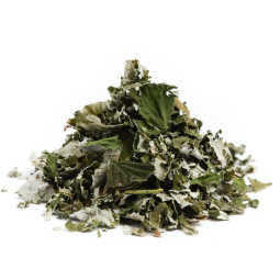 Sleep Well | Yrttitee