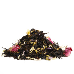 Premium Blend Mustikkametsä