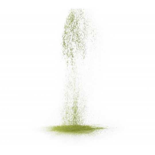 Organic Matcha 500g | Matcha-tee