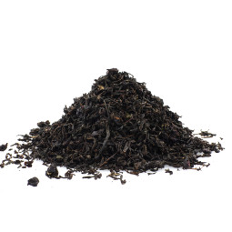 Maté Brazilian Nights | Maté-tee