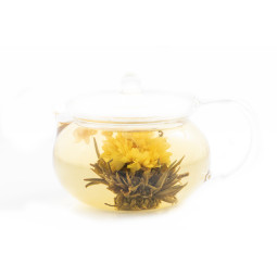 Teekukat 2 kpl - Krysanteemi ja jasmiini kehäkukka