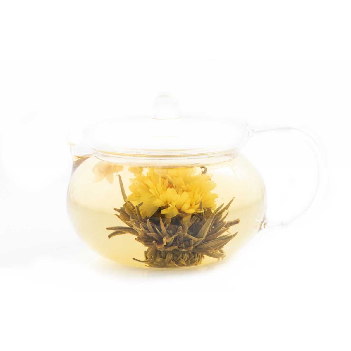 Teekukat 2 kpl - Krysanteemi ja jasmiini kehäkukka