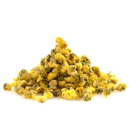 Krysanteeminkukkatee