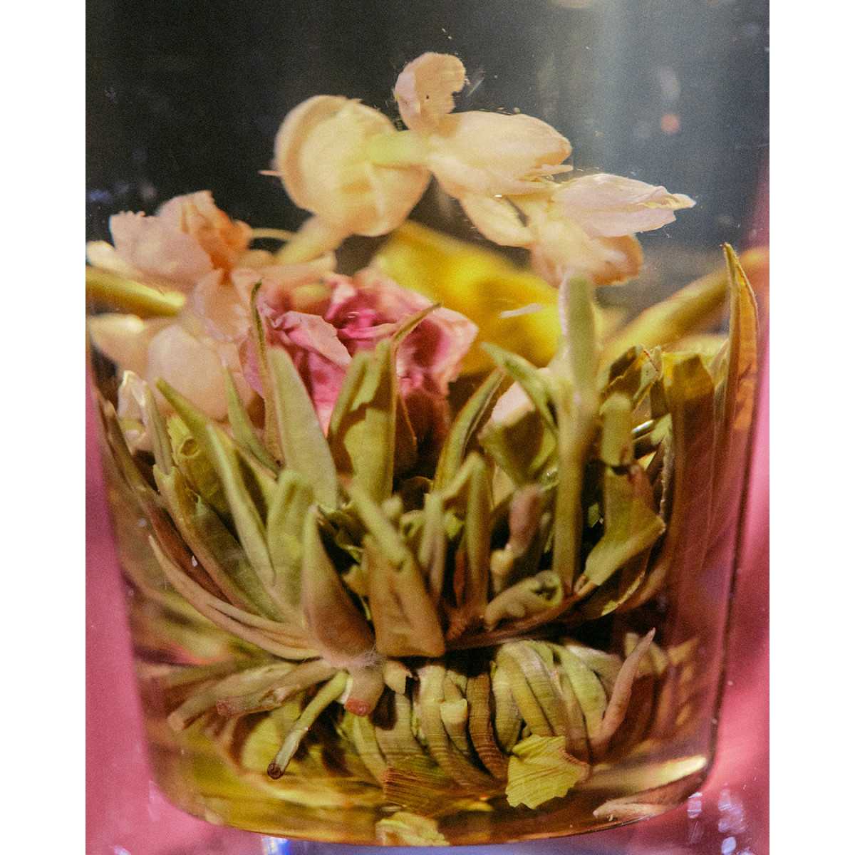 Organic Rose Jasmine