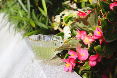 Täyteläistä teetä eteläisestä Japanista  image